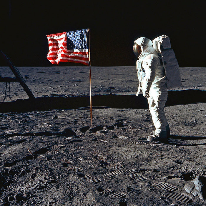 Apollo 11 Aldrin Flag