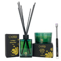 Cello - Lux Reed Diffuser & 3 Wick Candle Set with R/Lighter - Frosted Pine