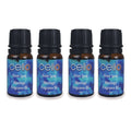 Crystal blue waters stir, creating a fresh citrus mist that is carried away on the warm musky sea breeze.