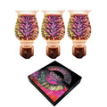 Cello - Set of 3 Infinity 3D Plug In with 18 Medallion Gift Box