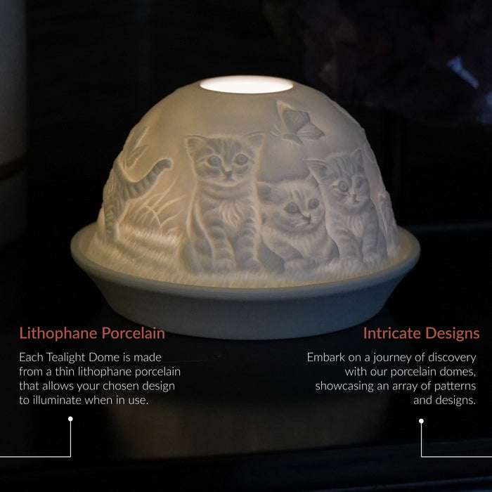 Cello - Tealight Dome - Kittens
