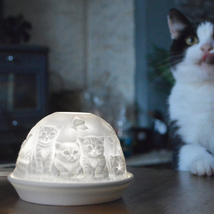 Cello - Tealight Dome - Kittens