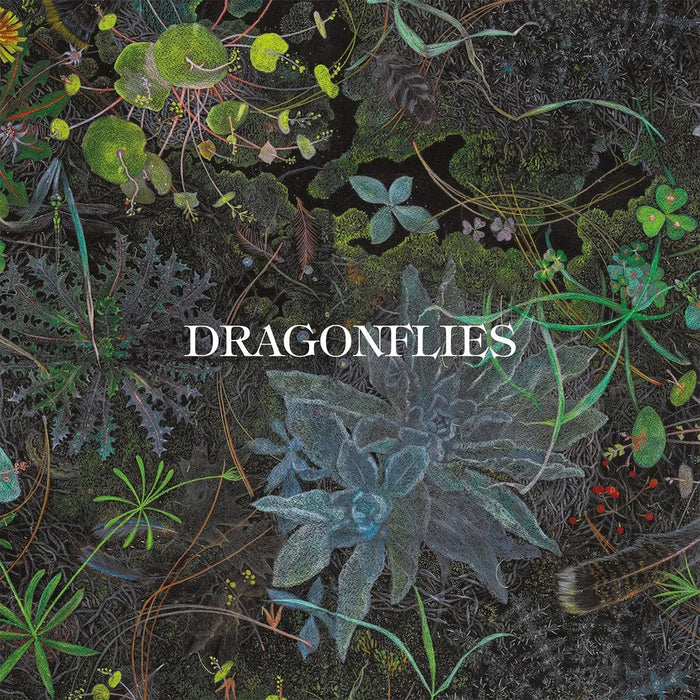 Dragonflies - Dragonflies