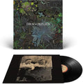 Dragonflies - Dragonflies