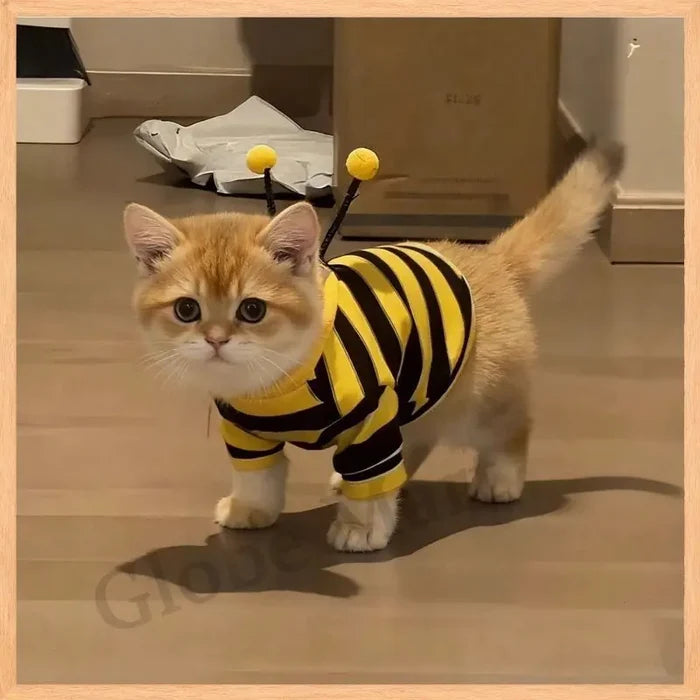 Funny Cat Clothes Anti-Slip Small Bee Beagle Dog Cute Blue Cat Spring and Autumn New Pet Hoodie