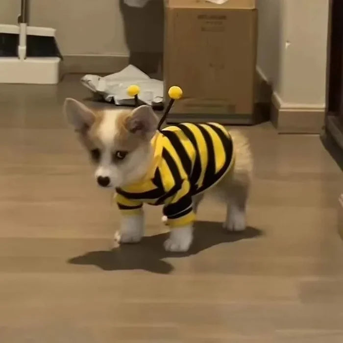 Funny Cat Clothes Anti-Slip Small Bee Beagle Dog Cute Blue Cat Spring and Autumn New Pet Hoodie