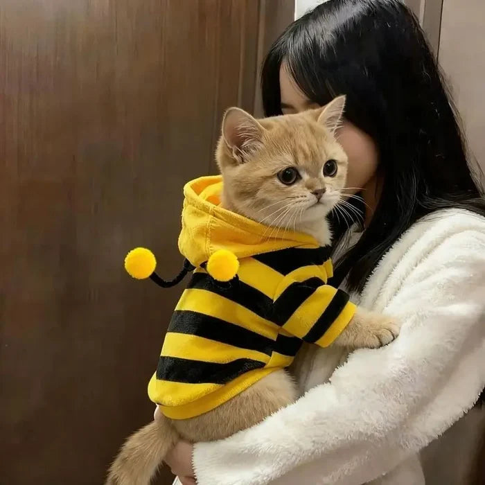 Funny Cat Clothes Anti-Slip Small Bee Beagle Dog Cute Blue Cat Spring and Autumn New Pet Hoodie