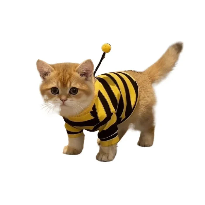 Funny Cat Clothes Anti-Slip Small Bee Beagle Dog Cute Blue Cat Spring and Autumn New Pet Hoodie