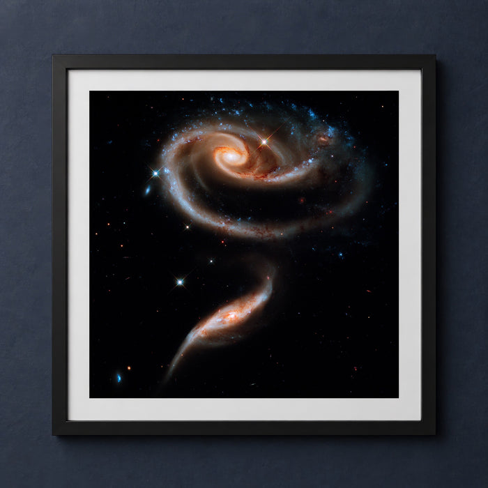 Framed print mockup — Galaxy Rose