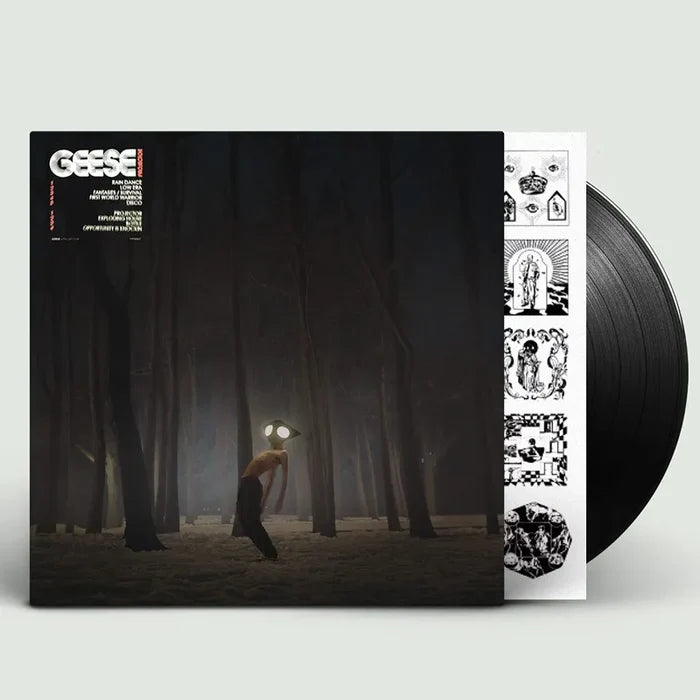 Geese - Projector