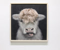 Gleneagles - Cow - Canvas Frame