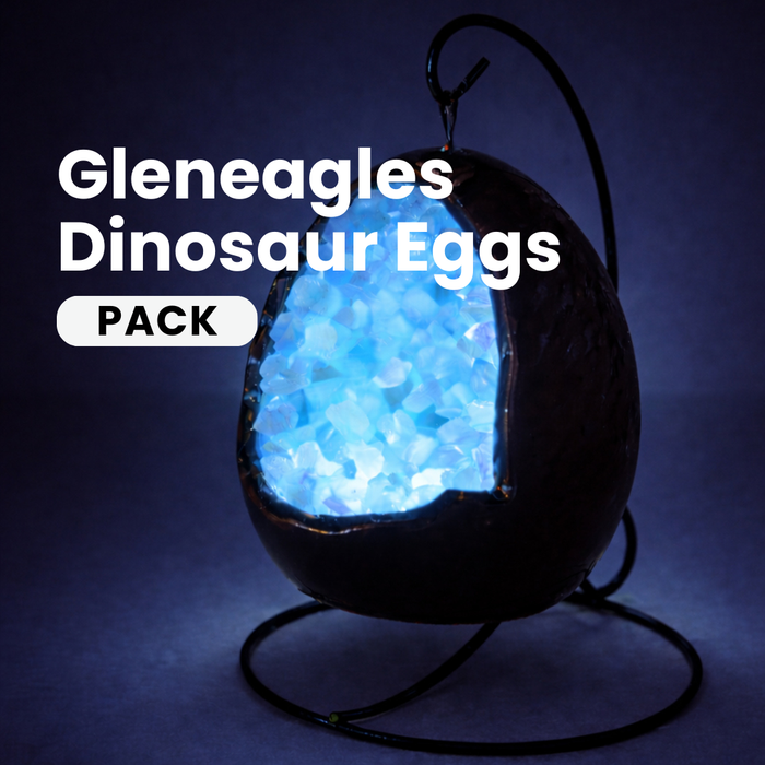 Gleneagles - Dinosaur Egg Lamp Pack