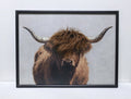 Gleneagles - Highland Cow - Canvas Frame