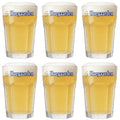 Hoegaarden Bierglazen Witbier - 250 ml - 6 stuks
