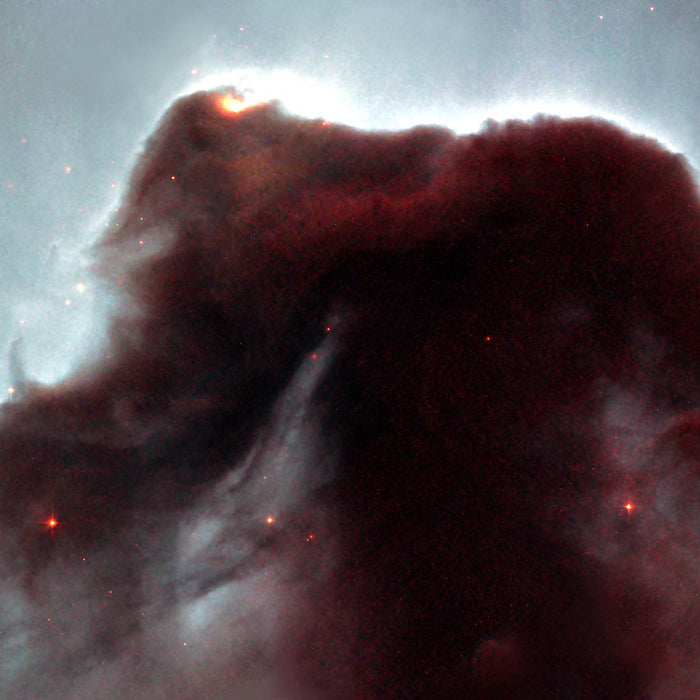 Horsehead - high resolution space images - Sky Image Lab