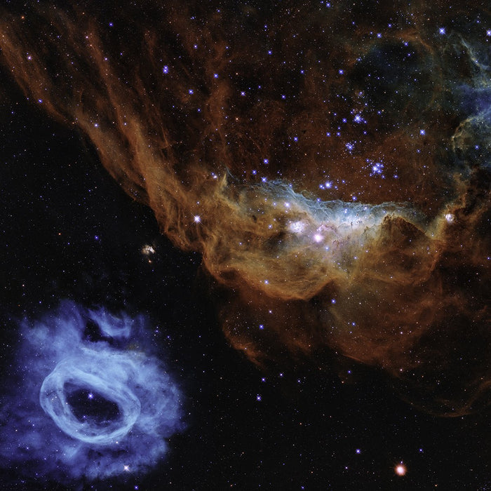 Hubble Cosmic Reef