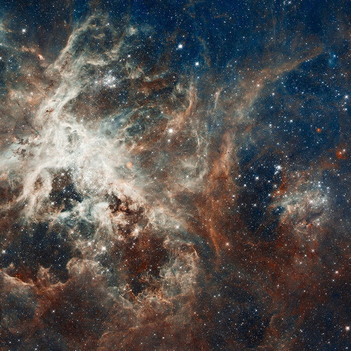 Interior of Tarantula Nebula