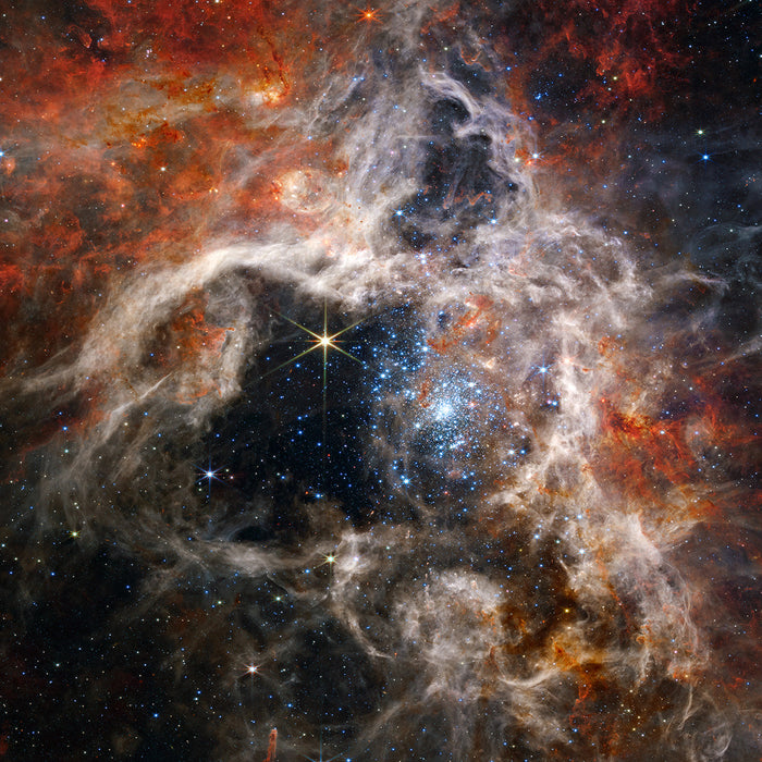 James Webb Tarantula Nebula