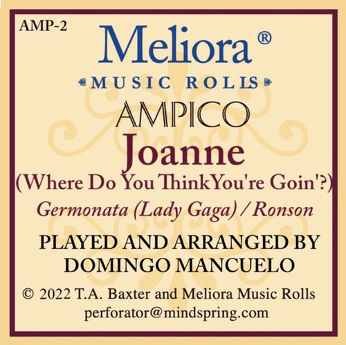 "Joanne" by Lada Gaga, arr. and played by Domingo Mancuello