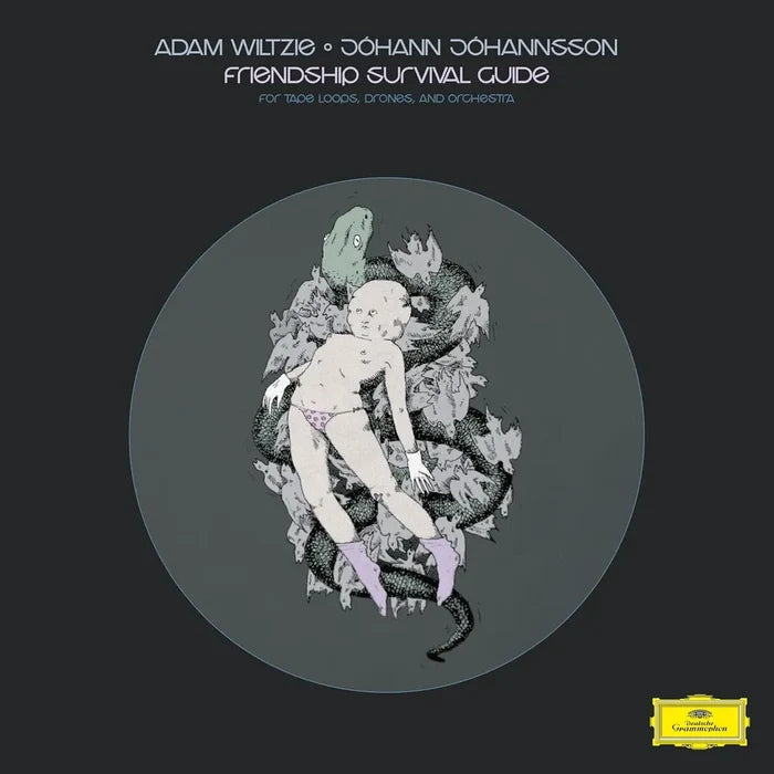 Jóhann Jóhannsson, Adam Wiltzie - Friendship Survival Guide