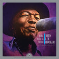 John Lee Hooker - Black Night Is Falling Live