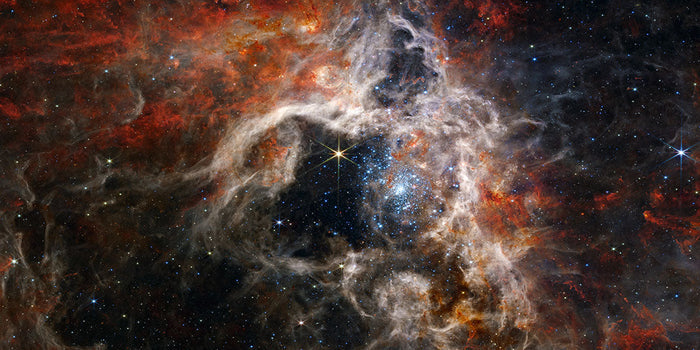 JWST Tarantula Panorama