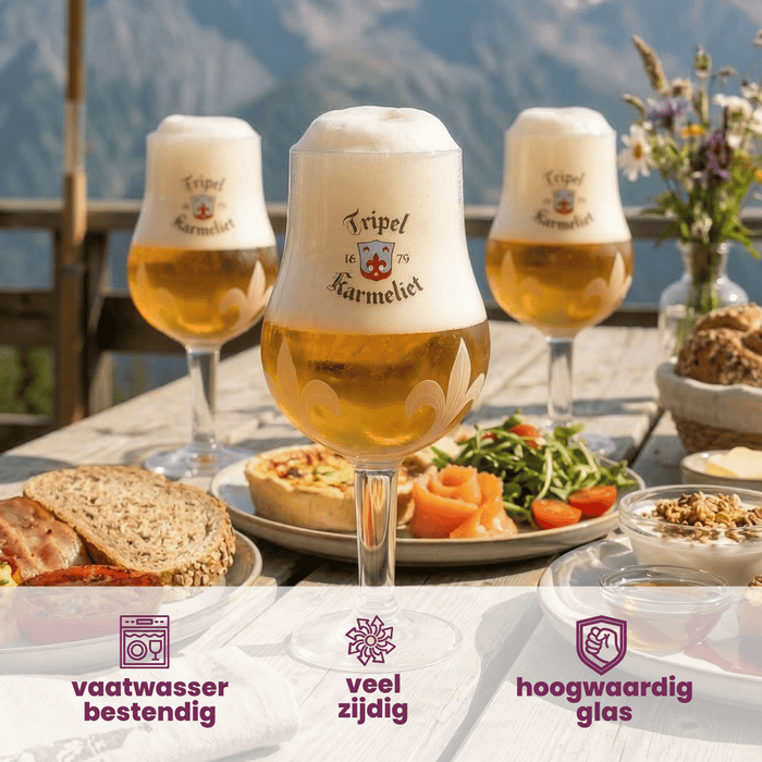 Karmeliet Bierglazen - 330 ml - 6 stuks