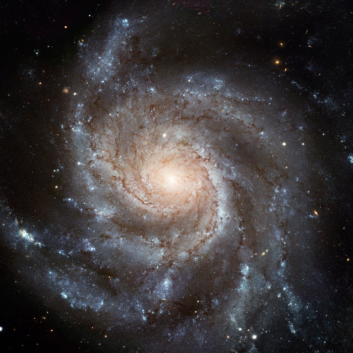 Pinwheel Galaxy