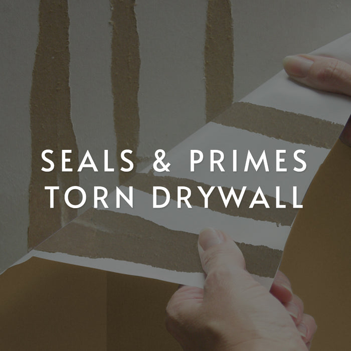 PRO-999 Rx-35® Sealer - Primer for Porous Surfaces