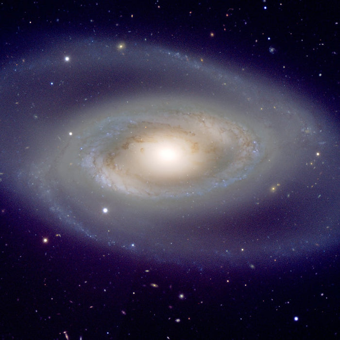 Spiral Galaxy NGC 1350