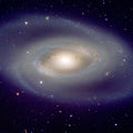 Spiral Galaxy NGC 1350