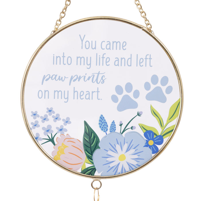 Splosh - Suncatcher - Paw Prints