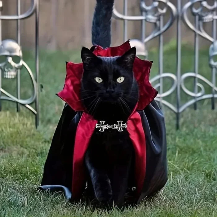 Spooky Vampire Halloween Costume for Cats - Couture Cloak & Hat Set, Perfect for Pet Party & Festival Clothes