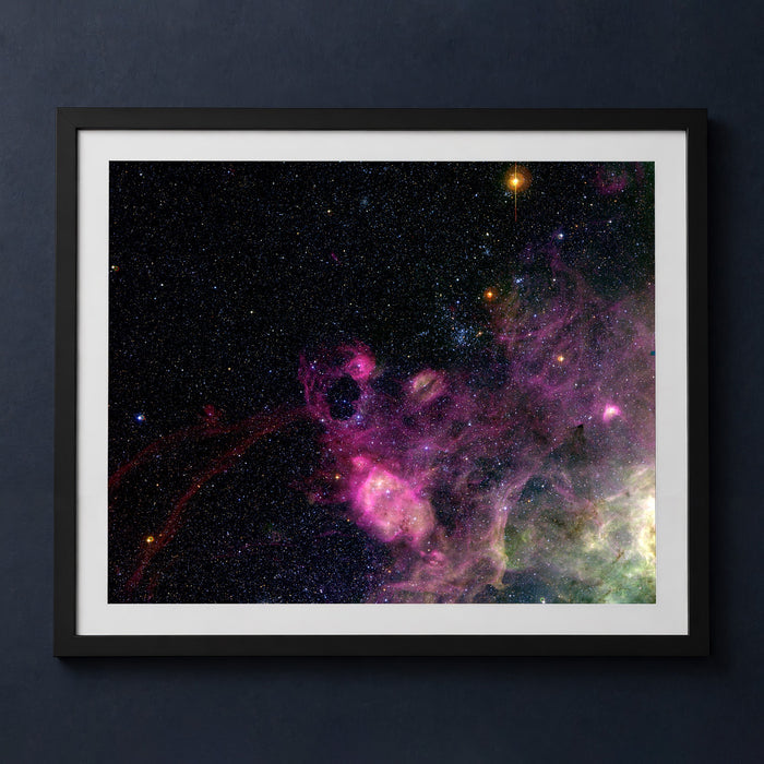 Framed print mockup — Tarantula in Web