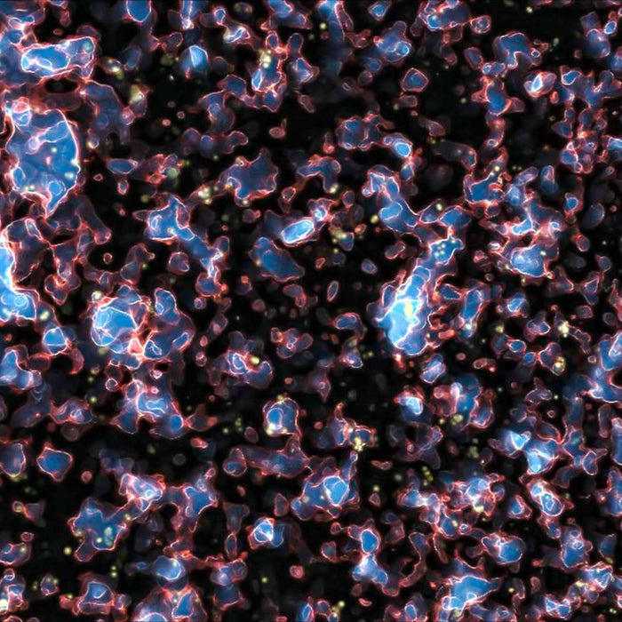 The Farthest Galaxy