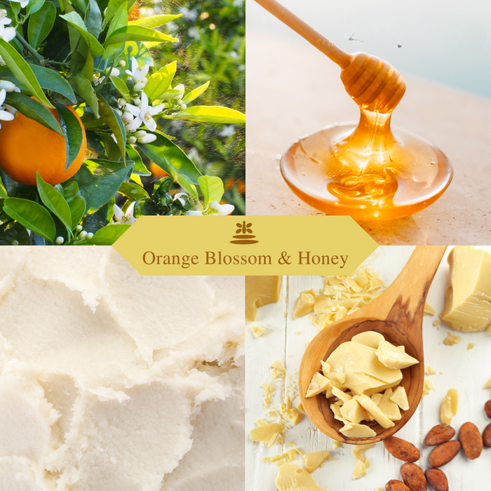 The Naked Bee - Coconut & Honey - Ultra Rich Body Butter 8oz