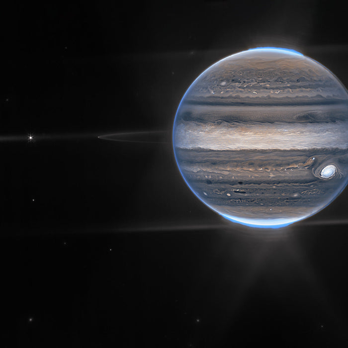 The Polar Auroras of Jupiter