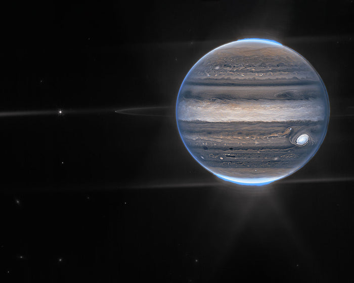 The Polar Auroras of Jupiter
