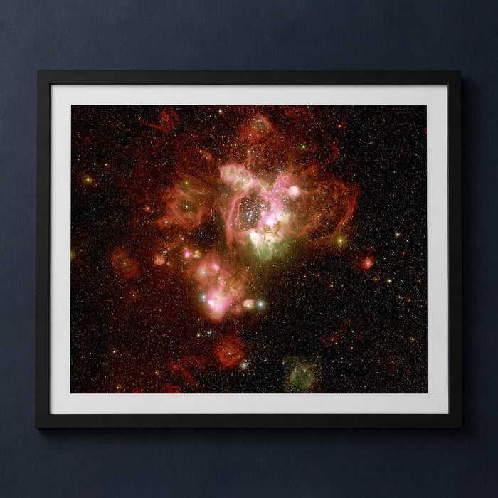 Framed print mockup — The Southern Rose